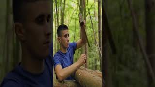 bushcraft build camp camping survival shelter wildlife skills lifehacks forest [upl. by Eirena570]