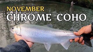 Chasing Some Chrome Coho at Vedder River [upl. by Eelirol]