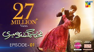 Muhabbat Gumshuda Meri  Episode 01 𝐂𝐂   Khushhal Khan amp Dananeer   28th April 2023  HUM TV [upl. by Frants253]