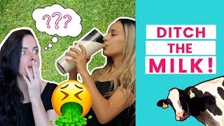 IS MILK BAD FOR YOU The Truth About Dairy [upl. by Cedell]