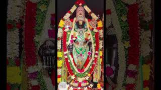 Sheshadrivasa sri tirumalesha song tirumala [upl. by Slavic]