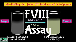 Chromogenic Factor VIII Activity Test  FVIII Assay  Chromogenic Factor VIII Assay  Factor 8 Assay [upl. by Leihcar]