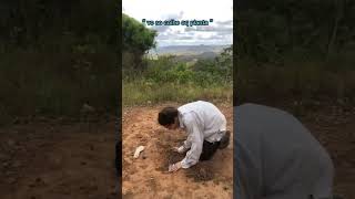 Esperando só a colheita 🤡shortvideos viralvideo [upl. by Cynthia931]