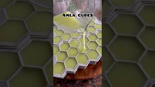 Amla cubes can store upto 1 year amla amlarecipe healthyrecipes hairfallsolution glowingskin [upl. by Acinomahs]