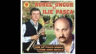 AUREL UNGUR si ILIE PASCA DE O SAPTAMANA BEAU [upl. by Einiar]