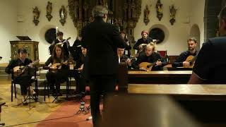 Mandolin orchestra Il Forum Musicale led by Claudio Mandonico plays Hades Bart Verstraeten [upl. by Anyahc]