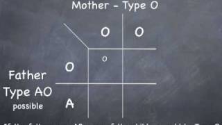 Punnett Square to determine possible blood types [upl. by Onimixam]