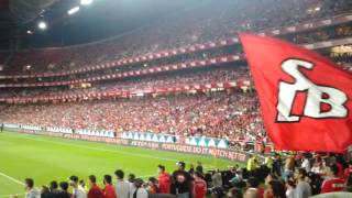 BENFICA  Eusébio  Tu és o Nosso Rei  Golo [upl. by Auqeenahs]