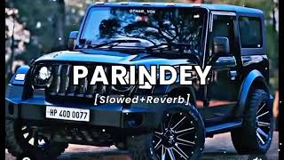 songs PARINDEY SlowedReverb Mohd Ashiv [upl. by Niras446]