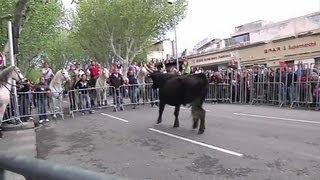 Arles ouvre la saison des férias [upl. by Swec]