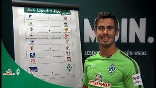 WIESENHOF Werder ExpertenTipp 3 Spieltag 1718 [upl. by Rahab]