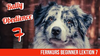 Rally Obedience Beginner Lektion 7 Wendungen auf der Stelle [upl. by Pasco]