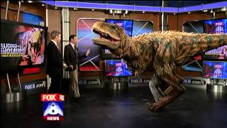 Baby TRex Visits Morning Show [upl. by Wendolyn]