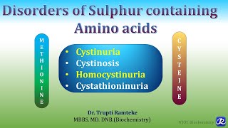 14Disorders of Metabolism of Methionine amp Cysteine  Amino acid metabolism  Biochemistry [upl. by Wyndham443]