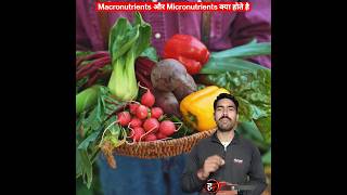 Macronutrients aur micronutrients ॥ macronutrients ॥ micronutrients shorts nutrition [upl. by Ordisy207]