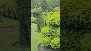 Green Animals Topiary Garden in Rhode Island shorts [upl. by Betthel]