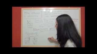 QUIMICA REDOX T42 Explicación de la pila Daniell Zinc metálico y CuII [upl. by Nylirak]