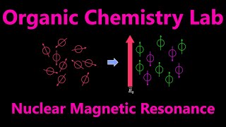 Proton Nuclear Magnetic Resonance ¹HNMR  Organic Chemistry Lab Techniques [upl. by Roid66]