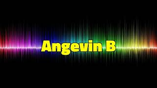 Angevin B  Kevin MacLeod 1 Hour [upl. by Redwine]