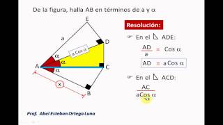 RAZONES TRIGONOMÉTRICAS DE UN ÁNGULO AGUDO Problema 001 [upl. by Asnarepse387]