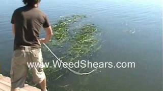 V Shaped Cutter for Removing Lake and Pond Weed for hydrilla milfoil cattails lily pads [upl. by Amick]