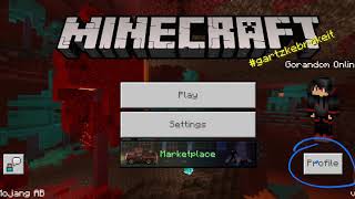 How to sign out of your minecraft account [upl. by Kassie]