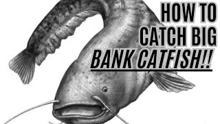 HOW TO Catch BIG Bank Catfish  THE Boatless Catfishing Guide [upl. by Fiester]