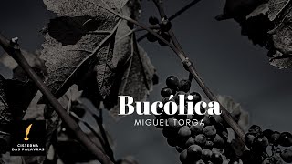 Bucólica  Miguel Torga [upl. by Ayoral531]