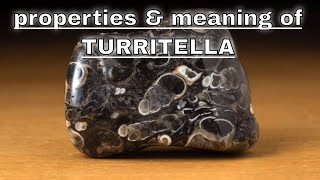 Turritella Agate Meaning Benefits and Spiritual Properties [upl. by Notsle]