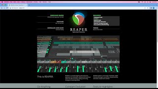 Changing Your Theme in REAPER [upl. by Serg993]