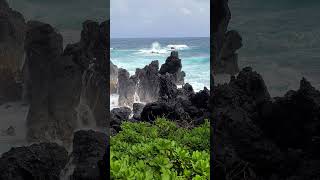 Laupahoehoe Point waves  Must see East side Big Island [upl. by Corella]