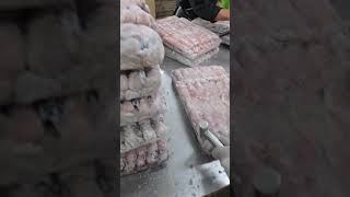 CUMI LOLIGOCUMI TEROPONG reels shorts fish LOLIGO seafood eksportir viralvideo [upl. by Kial128]