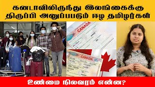 🇨🇦கனடாவிலிருந்து இலங்கைக்கு திருப்பி அனுப்பபடும் ஈழ தமிழர்கள் canada visitorvisacanada [upl. by Brunelle]