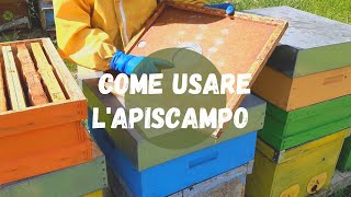 Apicoltura come usare lapiscampo [upl. by Nivets]