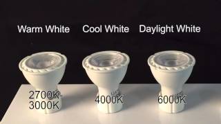 LED GU10 Light Bulbs [upl. by Panthia]