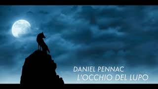 Locchio del lupo  Daniel Pennac Audiolibro [upl. by Arvin]