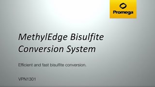 MethylEdge Bisulfite Conversion System Video [upl. by Edgardo954]