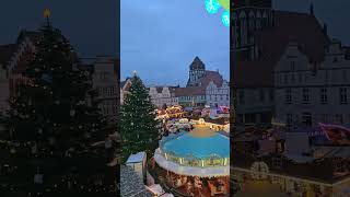 Christmas market Greifswald 1 greifswald germany shorts shortsvideo weinachten Christmas [upl. by Sudaorb]