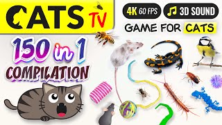 CAT TV  150 in 1 Ultimate Compilation 🙀🐭🐝 Game for cats 🕚 10 HOURS 4K [upl. by Faubion65]