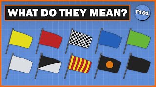 What do all the flags mean in F1 [upl. by Damian]