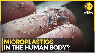 Study finds evidence of microplastics inside human body  Latest English News  WION [upl. by Liagabba785]