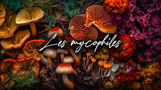 🍄 Podcast Les MYCOPHILES 8  JeanMarc Olivier  La MasterClass Truffe et Trufficulture [upl. by Akinimod680]