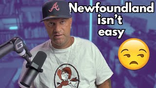 7 Reasons You Might Not Love Living in Newfoundland [upl. by Ojimmas597]