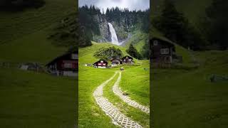 World best Relaxing Music with Nature Sounds incense music Nature View [upl. by Airdnua]