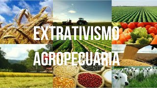 EXTRATIVISMO E AGROPECUÁRIA  6ºANO [upl. by Ardin]