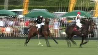 IPC Professional Polo highlights winter 2012 [upl. by Rysler]