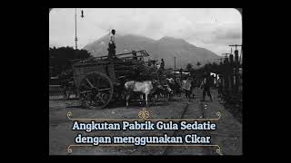 Pabrik Gula Sedatie Ngoro Mojokerto tahun 1915 [upl. by Mansur]