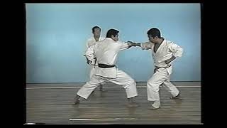 Bassai Dai Kata amp Bunkai [upl. by Nayar]