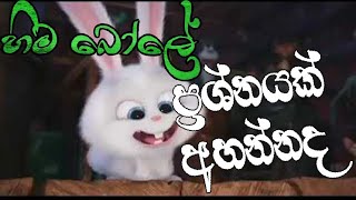 Prashnayak Ahannada  Hima Bole  ප්‍රශ්නයක් අහන්නද  හිම බෝලේ [upl. by Iives]