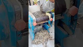 Sunflower seed shell separator Good tools and machinery can increase work efficiency [upl. by Ailemac]